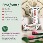 euthymol-original-antiseptic-toothpaste-75ml-website-opensesame-bd-07